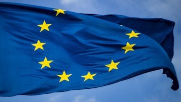 Bir cam binanın yanındaki ağaç