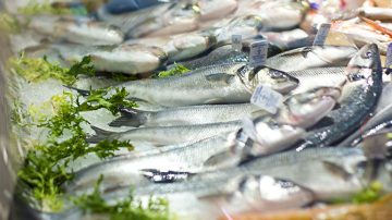 Balığın Faydaları